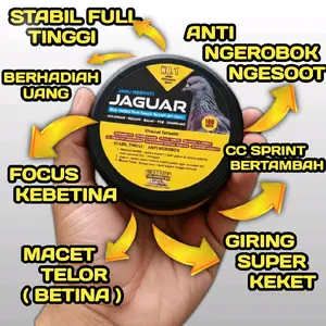 JAMU MERPATI JAGUAR  ISI 100 BUTIR