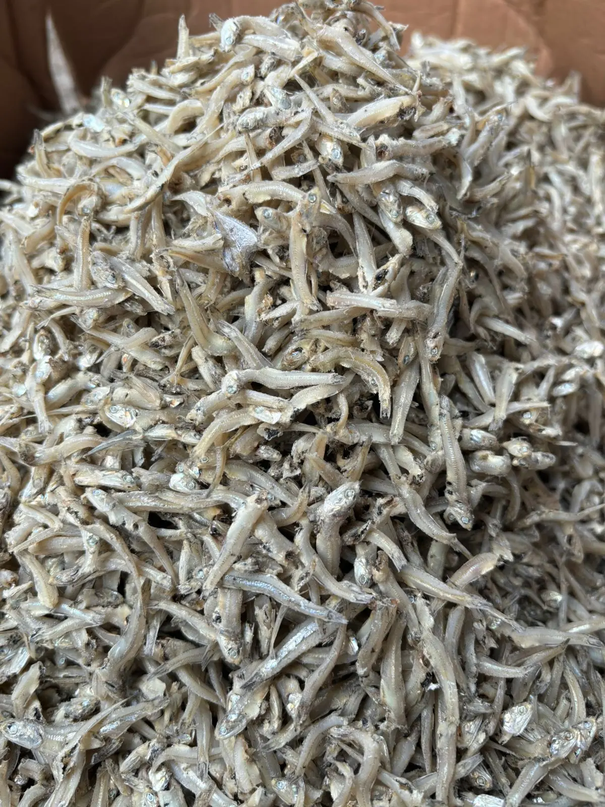 Ikan Teri Buntiaw Kering Khas Medan - Food