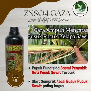 Obat busuk mati pucuk kelapa sawit paling ampuh - Obat busuk daun hitam sawit terbaik -ZNSO GAZA - Pupuk fungisida anti busuk bercak daun tanaman sawit manjur