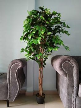 Product Review of NEW! Premium Artificial Ficus Banyan Tree Fejka /  Artificial Weeping Fig Plant / Pokok Hiasan rumah ruang tamu outdoor Viral / 175cm home office deco from s**a 0