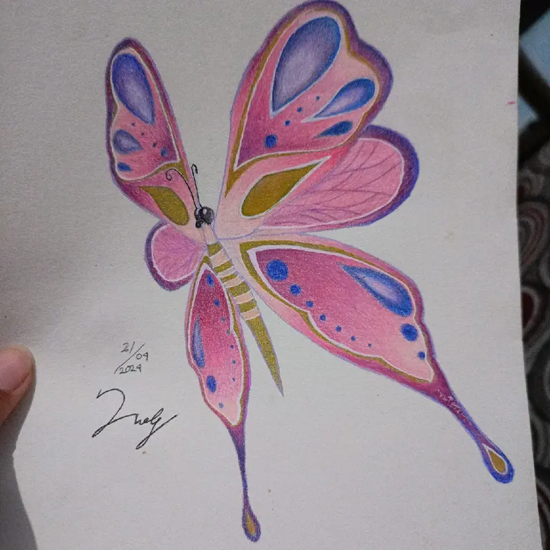 Butterfly Rafayel,Gambar kupu kupu 3