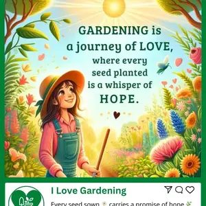 DUVET COVER | QUILT COVER HOTEL KATUN PREMIUM SALUR