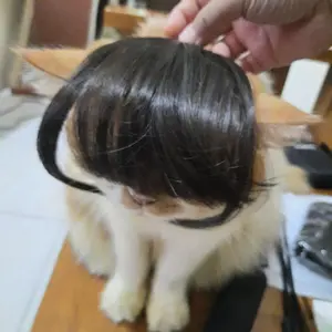 Wig Hewan Anjing Kucing - Pet Wigs Cosplay Hewan Anjing Kucing - Rambut Palsu Hewan Kucing Anjing