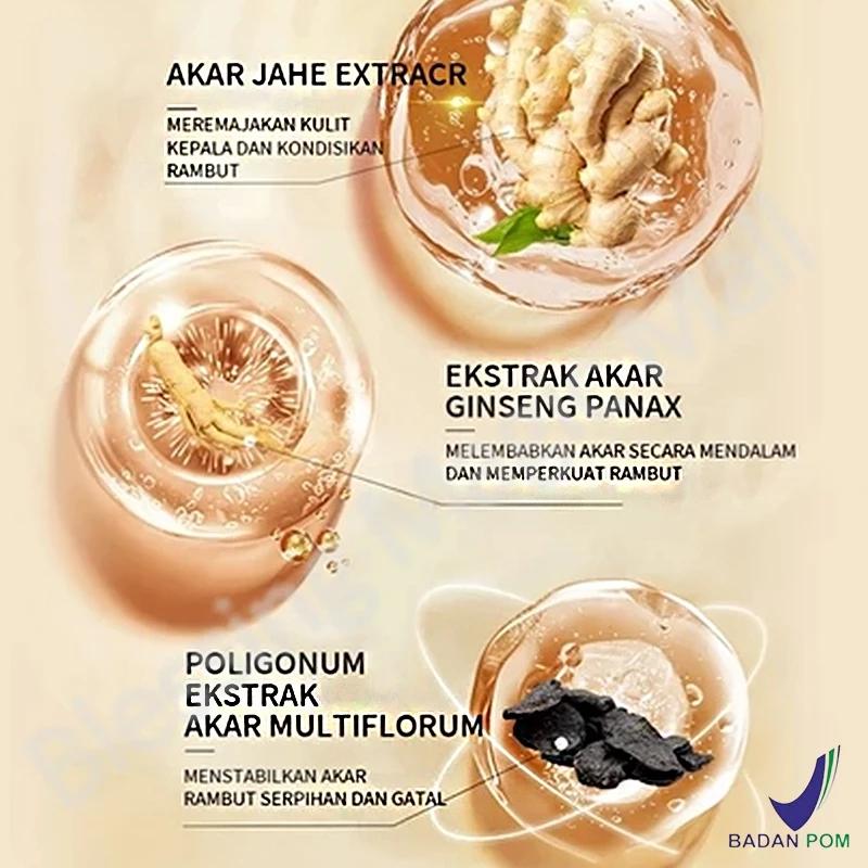 Shampo Penumbuh Rambut Cepat Ginger Shampoo 300ml Anti Rontok & Anti Ketombe Kontrol Minyak Nutrisi Rambut Perawatan Rambut Hair Care Shampo Penumbuh Rambut Cepat Ginger Shampoo 300ml Anti Rontok & Anti Ketombe Kontrol Minyak Nutrisi Rambut Perawatan Rambut Hair Care