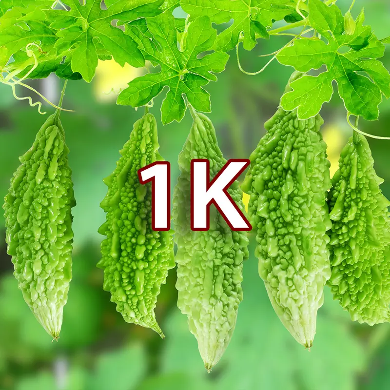 [Deal 1K] Hạt giống Rau Ăn Quả - Rau Ăn Trái, sinh trưởng mạnh, năng suất cao 5