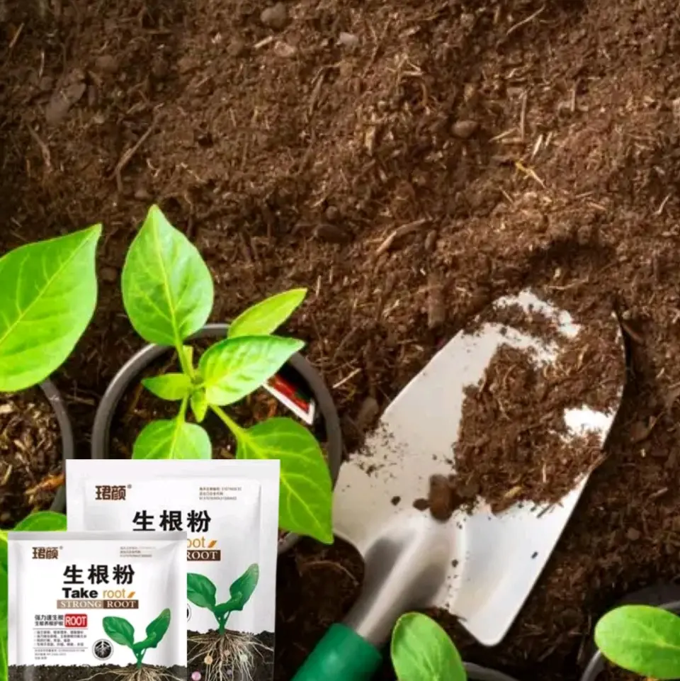 bubuk rooting untuk memperkuat akar tanaman