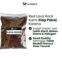 Gambar Workplant - Red Lava Rock Pasir Malang Merah Vulcanic Soil Media Tanam Porous Sudah Bersih Siap Pakai Bebas Busuk Akar - Besar dari workplant official Kota Surabaya 3 Tokopedia