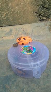 Product Review of Lure Soft Frog Mini umpan pancing Ukuran 3cm Berat 5grm Untuk Mancing Casting Ikan Gabus from M**a 1