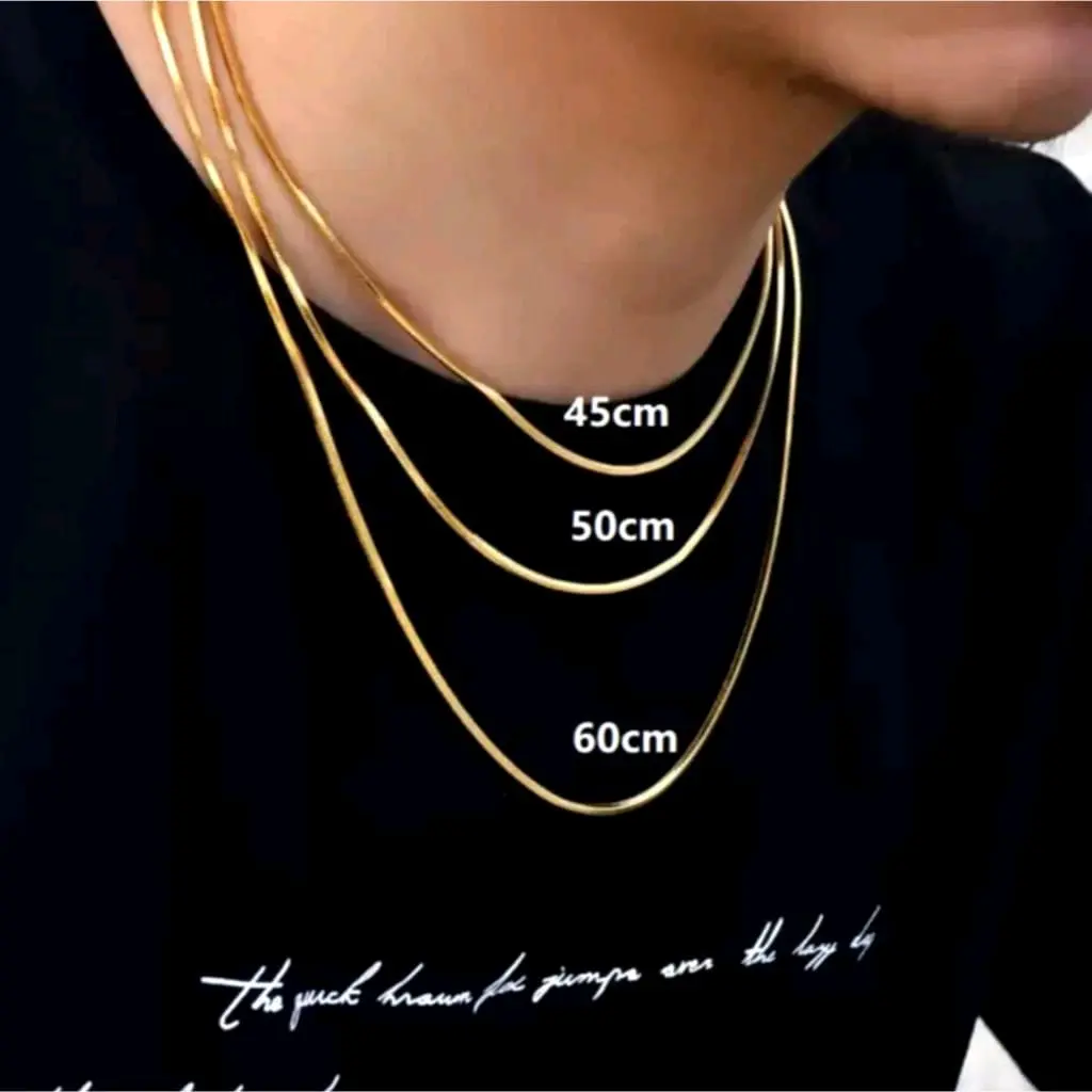 [AIRUL ACC] KALUNG Titanium Pria Wanita Gold Silver panjang 45cm 50cm 60cm ORIGINAL anti karat   Necklace