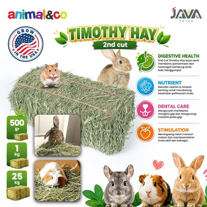 PROMO SPECIAL AnimalnCo 2nd Cut Timothy Hay 500gr - Rumput Hay Makanan Kelinci 500gr