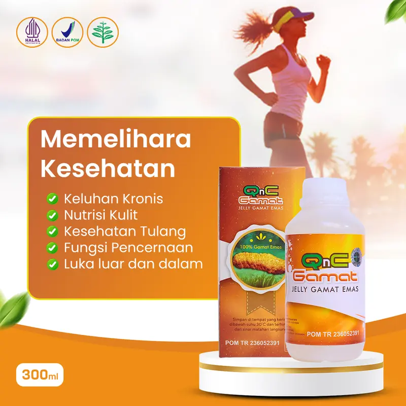 QNC Jelly gamat emas herbal multikhasiat dari ekstrak teripang emas 0