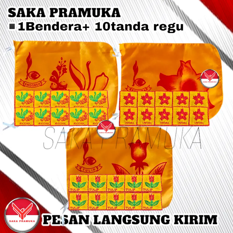 PAKET LENGKAP (1 BENDERA + 10 TANDA REGU) PRAMUKA PUTRA BURUNG HANTU 3
