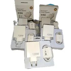Power Adapter 120W Kompatibel dengan Cepat Pengisian untuk P-40 dan P-40 Pro