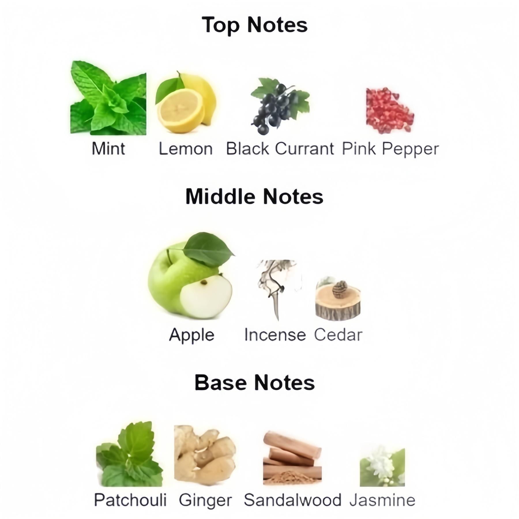 Afnan 9 PM 35ML EDP Parfum Unisex Original Tahan Lama Aroma Segar & Cerah Cocok untuk Sehari-hari dan Acara Spesial Afnan 9 PM 35ML EDP Parfum Unisex Original Tahan Lama Aroma Segar & Cerah Cocok untuk Sehari-hari dan Acara Spesial