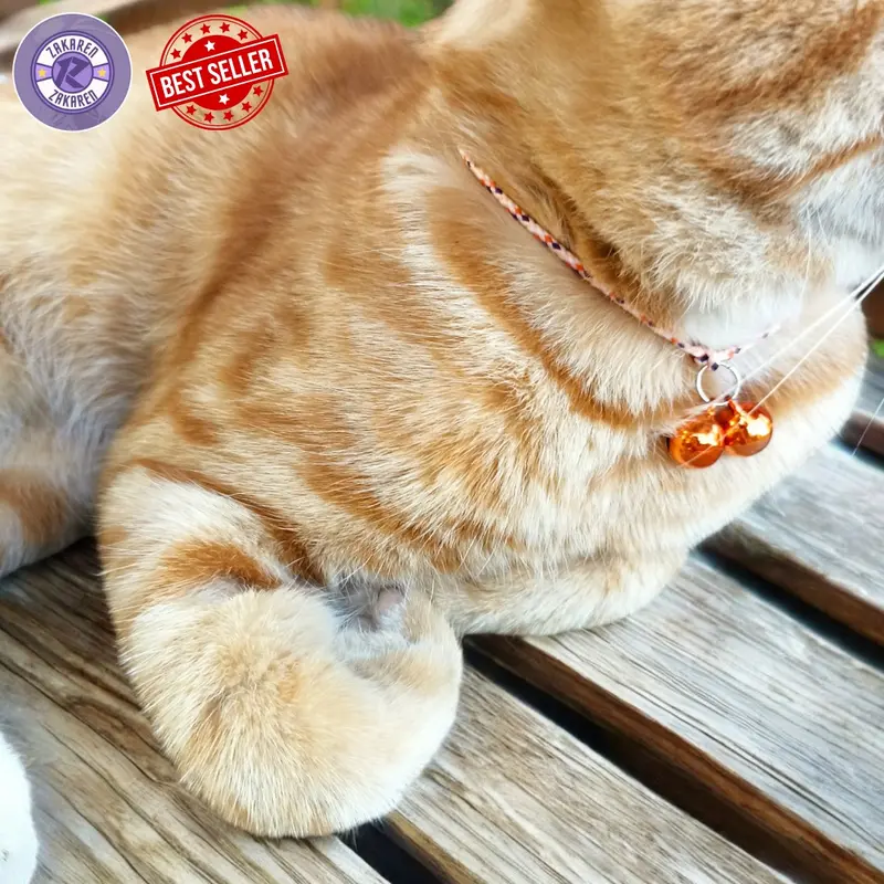 Grosir kalung kucing anti kutu dan jamur bahan prusik halus ringan di pakai bell nyaring 2 lonceng cocok untuk kitten dan junior 2