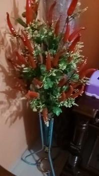 Product Review of bunga hias bunga pojok sakura mihua k 14 set pot besi BUNGA PELASTIK from s**i 2