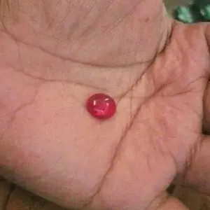 BATU LEPASAN MERAH SIEM TOP GIWANG