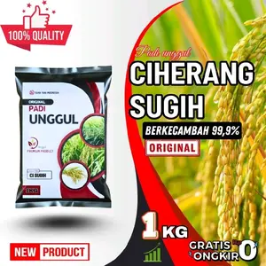 Benih Padi Unggul Ciherang Sugih Kemasan 1-5 KG Premium 100% Original