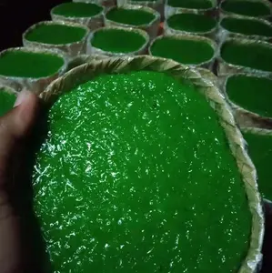 Dodol Wajik Pandan 500g Khas Purworejo