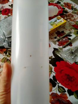 Product Review of PIFACIA Garukan Punggung Pijat Badan Teleskopic Tongkat Tarik Stainless from N**a 1