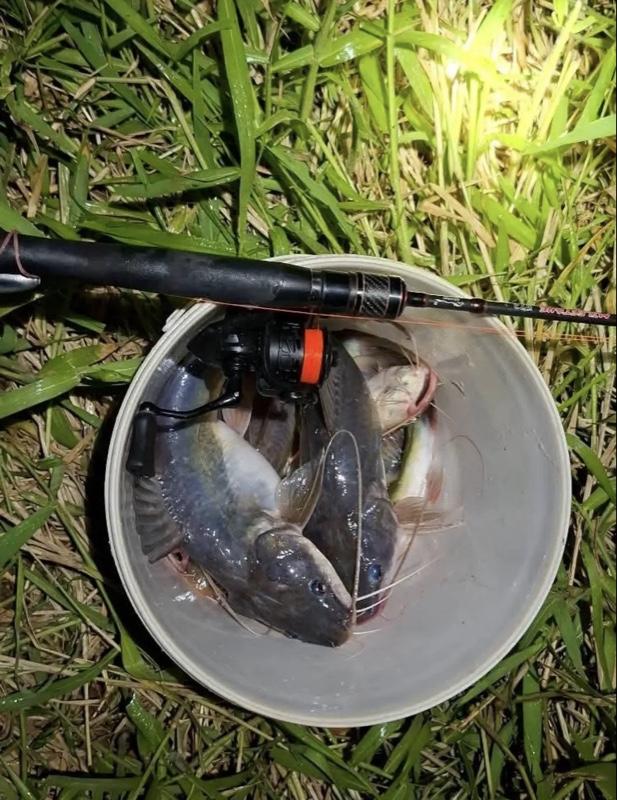 Umpan kucur umpan mancing paket 100 gram spesial buat ikan baung patin bawal senggal dll Umpan kucur umpan mancing paket 100 gram spesial buat ikan baung patin bawal senggal dll