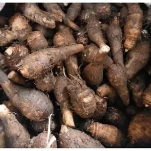 buah talas segar kualitas terbaik bersih kemasan 1kg