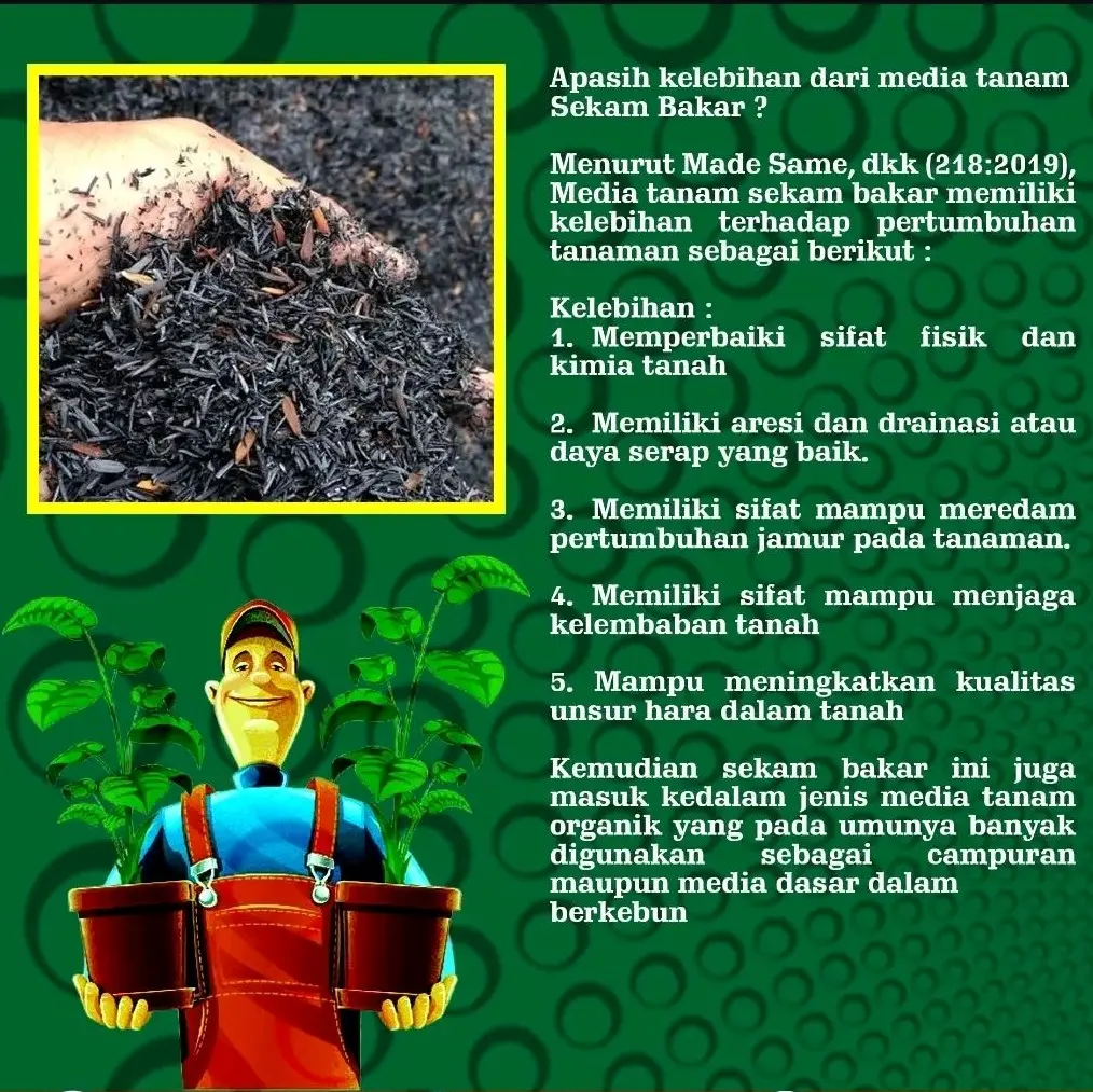 Media tanam sekam bakar racik 2kg bebas hama