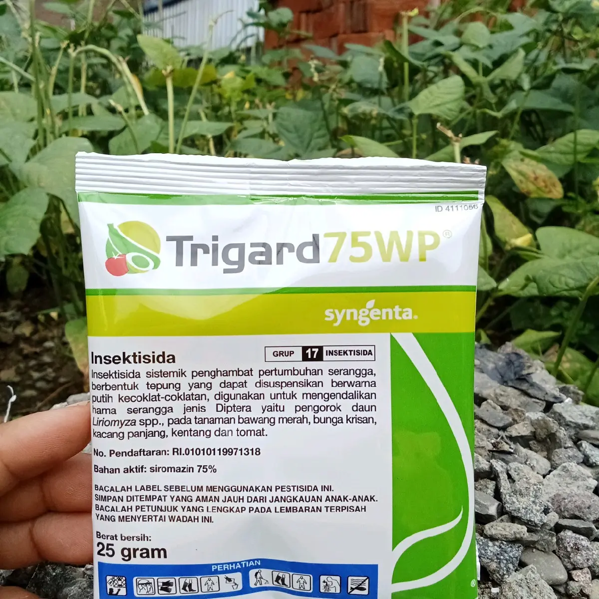Insektisida Trigard 75 WPbahan aktif: siromazin 75 %