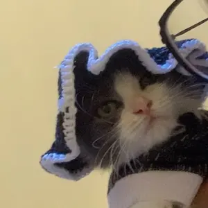 topi kucing rajut aksesoris hewan lucu murah - GLITCHY KNIT HAT