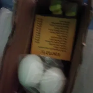 TELUR PALSU BURUNG MERPATI IMITASI TELUR PENGGANTI PENCEGAH STRESS