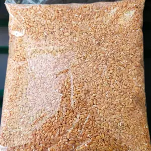 GANDUM PECAHAN KEMASAN 1KG