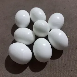 Telur Palsu Merpati Anti Pecah - Harga per Butir