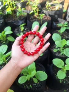 Gelang Butiran Red Coral Size 12mm Lokal