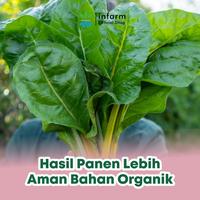 Gambar Infarm POC Sayuran Daun 1L, Pupuk Organik Cair Siap Pakai, Nutrisi 100% Organik untuk 500 Liter, Meningkatkan Kesuburan & Produktivitas Tanaman dari Infarm Kota Surabaya 4 Tokopedia