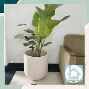 Pot Tanaman Blong Unik Marmer Terazzo Handmade