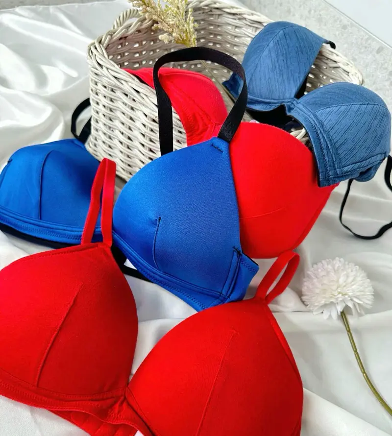 Bra Harian No Kawat - Wirefree Triangle Bra - 6192