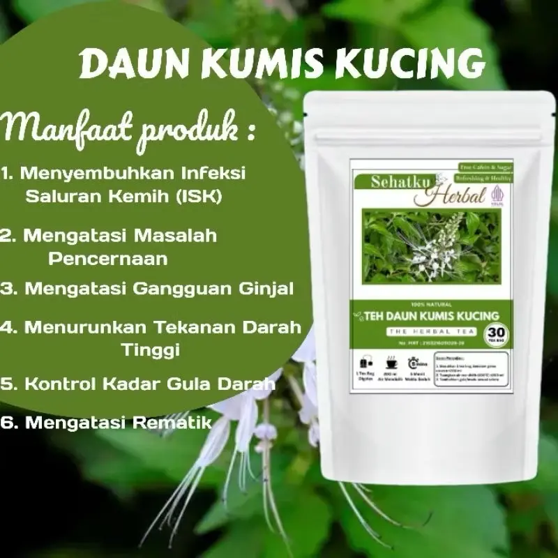 TEH DAUN KUMIS KUCING Isi 30 Herbal Alami Original Herbal
