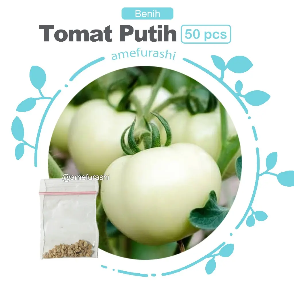 Tomat Putih 50 Biji