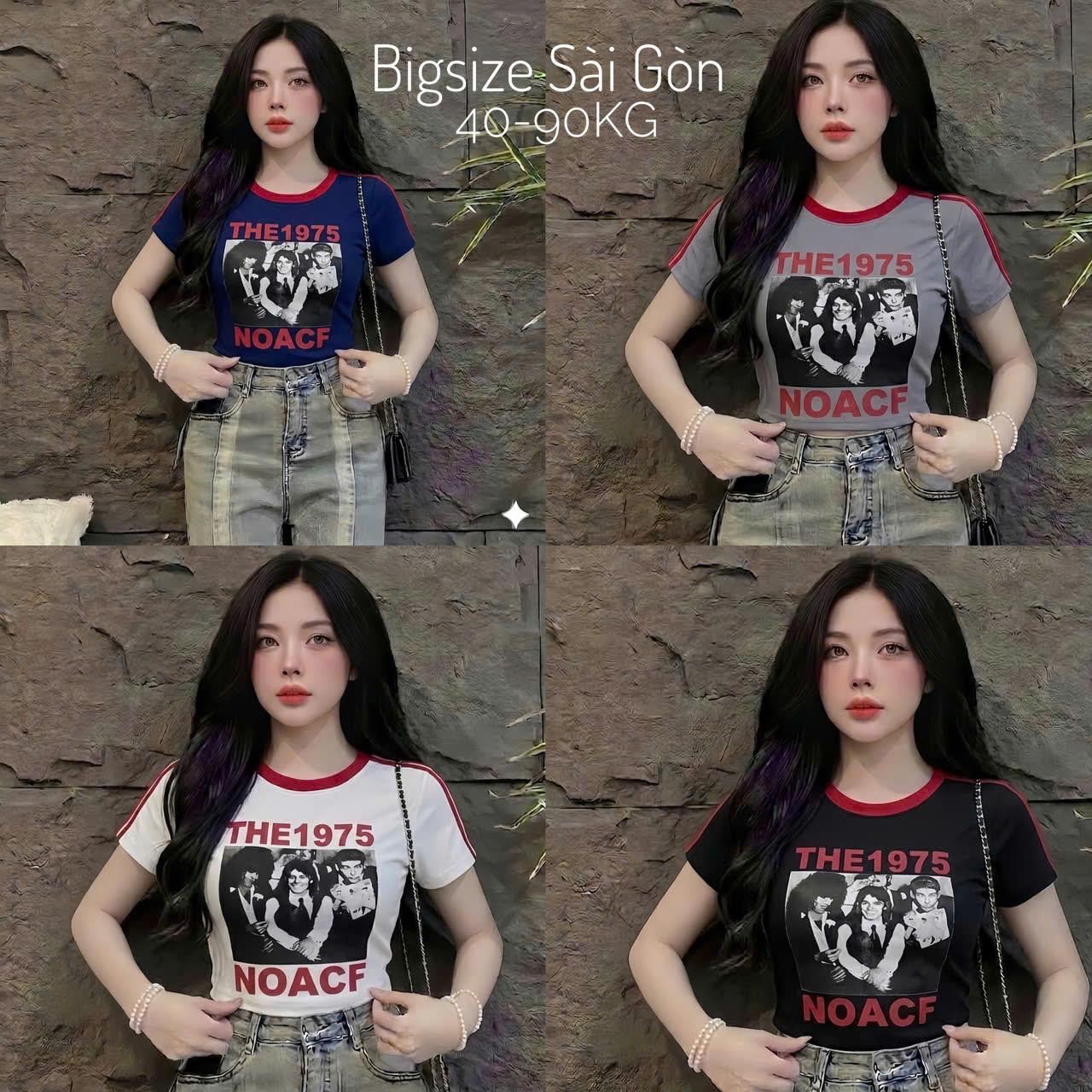 Áo Thun Nũ Cổ Tròn In Hình Vải Thun Tăm Mềm 45 - 90Kg Có Bigsize Sài Gòn Top Women - B.1473