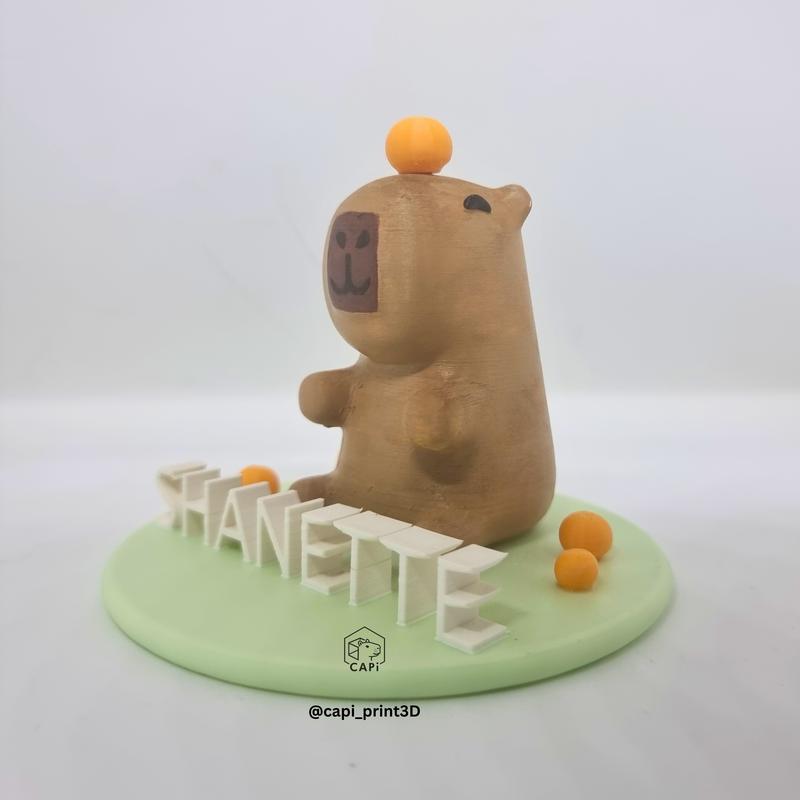 Figur Capybara Lucu Custom dengan Nama & Tumpukan Jeruk - Mainan Lucu - Toy Anak 7