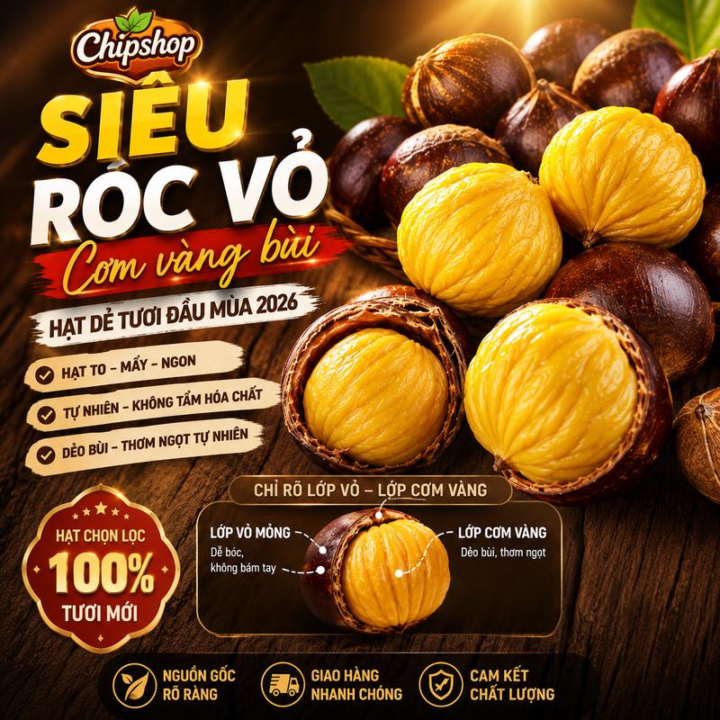 <Mùa Mới> ComBo Hộp Hạt Dẻ Khô Chưa Bóc Vỏ-Hạt Mẩy Bùi Cơm Thơm Vàng- Thực Phẩm…