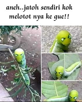 Product Review of Tempat Cacing Sutera Wadah Makanan Ikan Kecil Corong Cacing Sutra Tempat Pakan Ikan from i**l 3