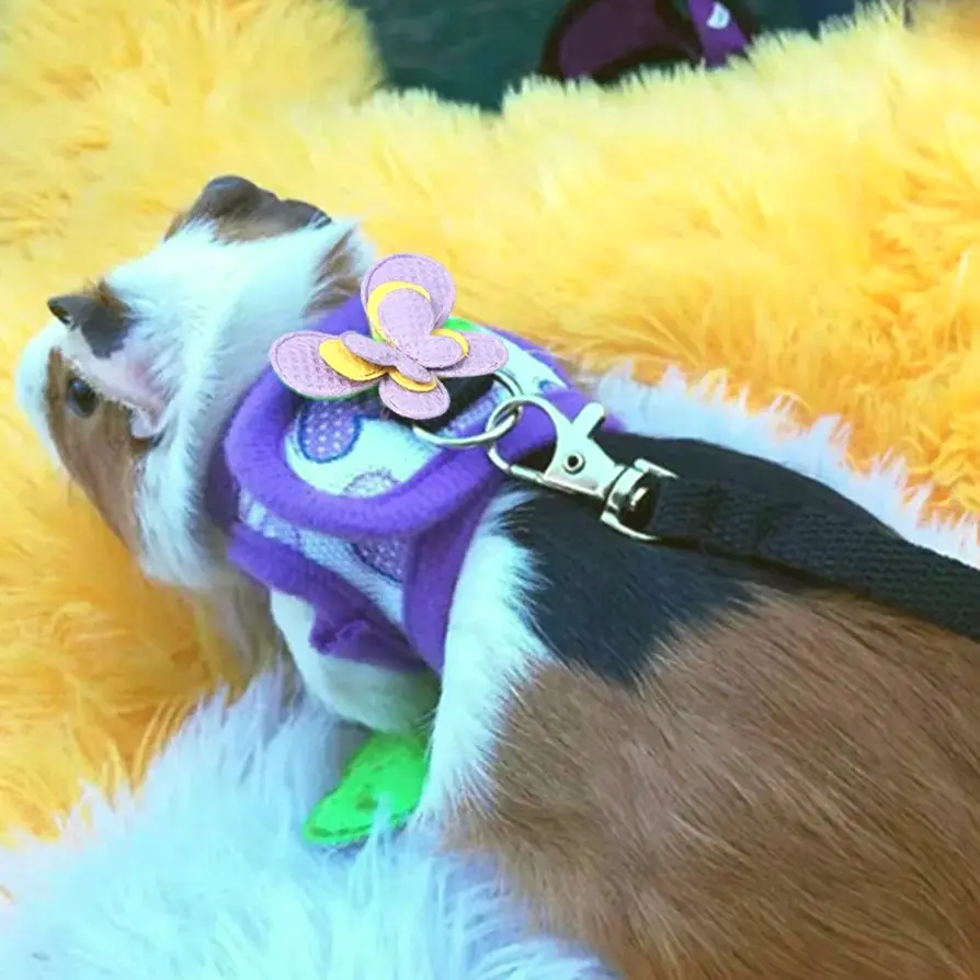 Adjustable Guinea Pig Harness Leash Set Outdoor Traction Rope for Hamster Chinchilla Mice Rat Ferret Rabbit Accessories