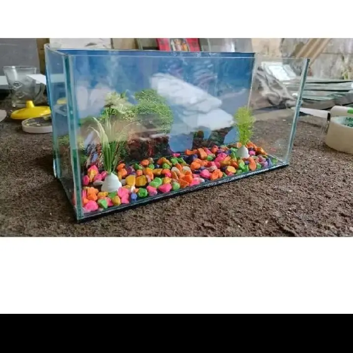 Akuarium Kaca Ukuran 30x10x15 dengan Backgron Belakang dan Batu
