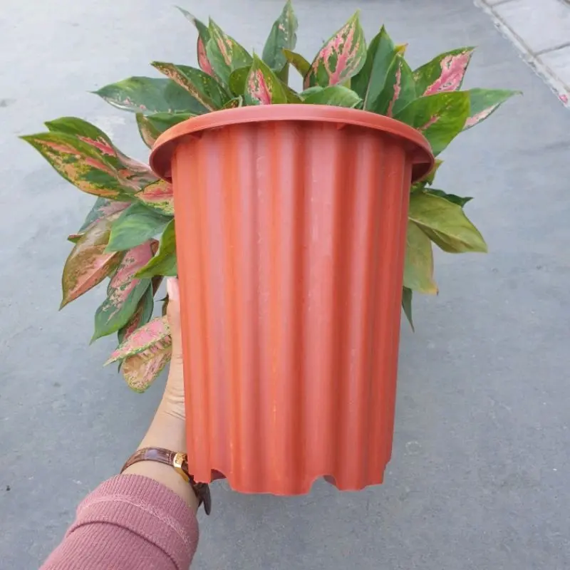 pot swiss warna campur ukuran 13 / plastik tahan lama / 8 pcs 100ribu