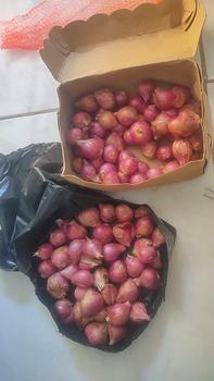 Product Review of Bawang Merah Asli Probolinggo 1Kg Ukuran Tanggung Kasar Rasa Khas Daerah from A**h 0