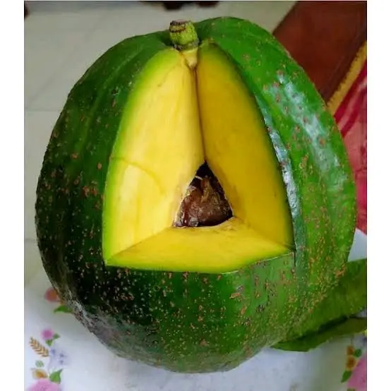 Alpukat Kendil 900 gram buah grosir frozen kendal