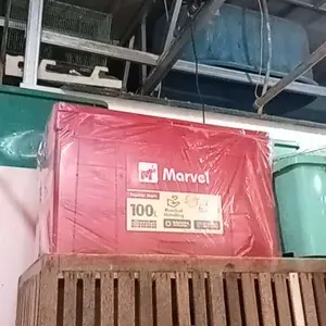 MarvelCooler 100 Ltr Popular Mark (CoolBox - IceBox - Es box)