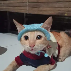 Topi kucing lucu / topi rajut kucing / topi rajut