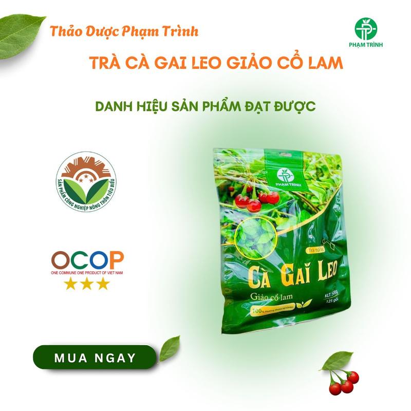 Trà Cà Gai Leo Giảo Cổ Lam 1kg OCOP Việt Nam Túi Lọc Thơm Ngon Dễ Uống Thảo Mộc Tự Nhiên